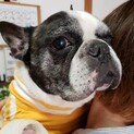 フレブル　ハグくん