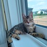 の写真