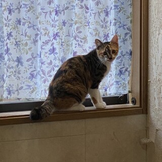 少しビビりなサランちゃん