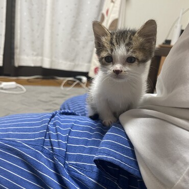 の写真