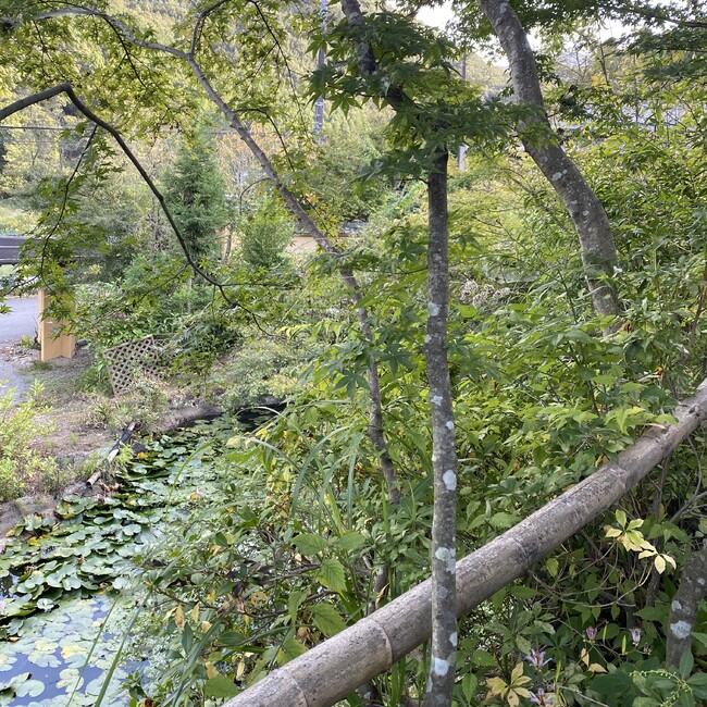 tensaitamaのカバー写真