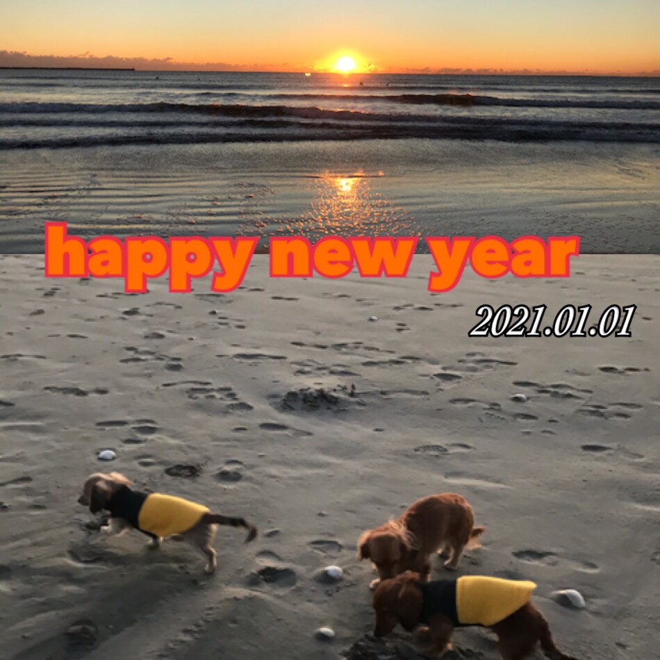 望のカバー写真