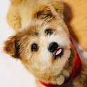 笑顔が可愛い♡イーコちゃん！