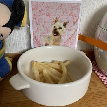 チャムがいなくなって昨日で3年。チャムが最後に食べたがってたマックのポテト。美味しい？？たくさん食べてね。