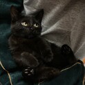 ジジかな？？