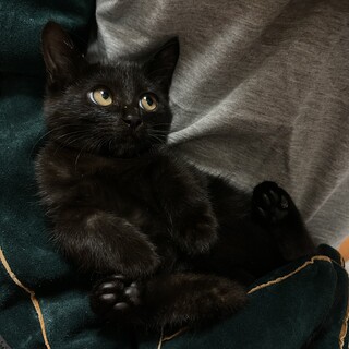 ジジかな？？