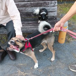 琳　喜びの舞♪