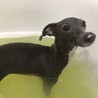 お風呂