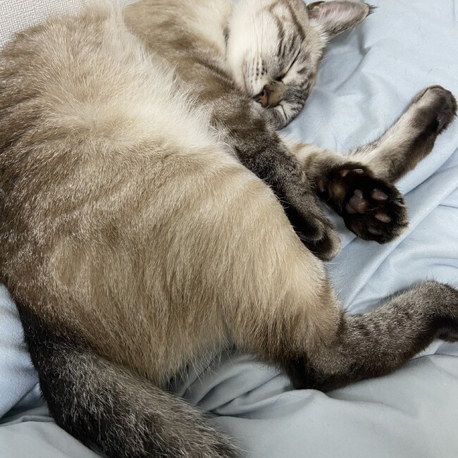 ななみけんとのカバー写真