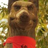 ZATOさん