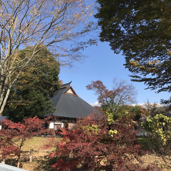 ZATOのカバー写真