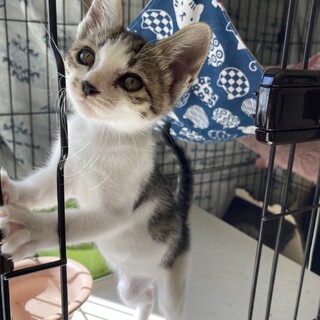 面会あり一旦停止♪