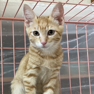 ゴロゴロ甘えん坊♫達也くん