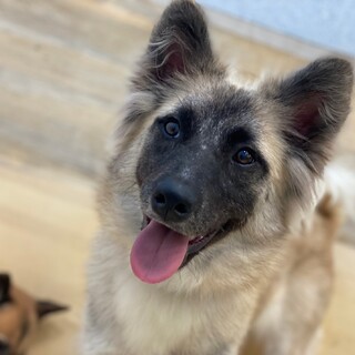 走るの大好き！【エメラルド】ちゃん☆