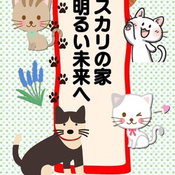 ムスカリの家　保護猫譲渡会 サムネイル2