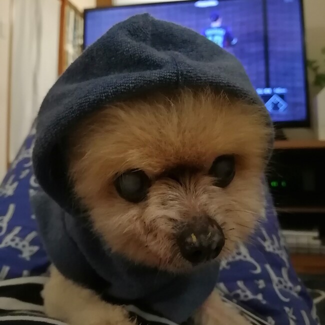 誠二郎のカバー写真