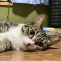 ビビ