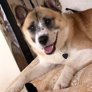  とにかく甘えん坊、明るく元気な男の子サン 