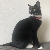 つきこ