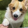 るうかず
