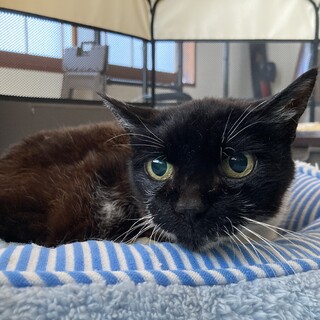 障害があるけどたくましい子です