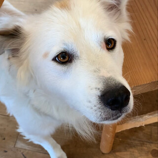 幸多（こうた）男の子