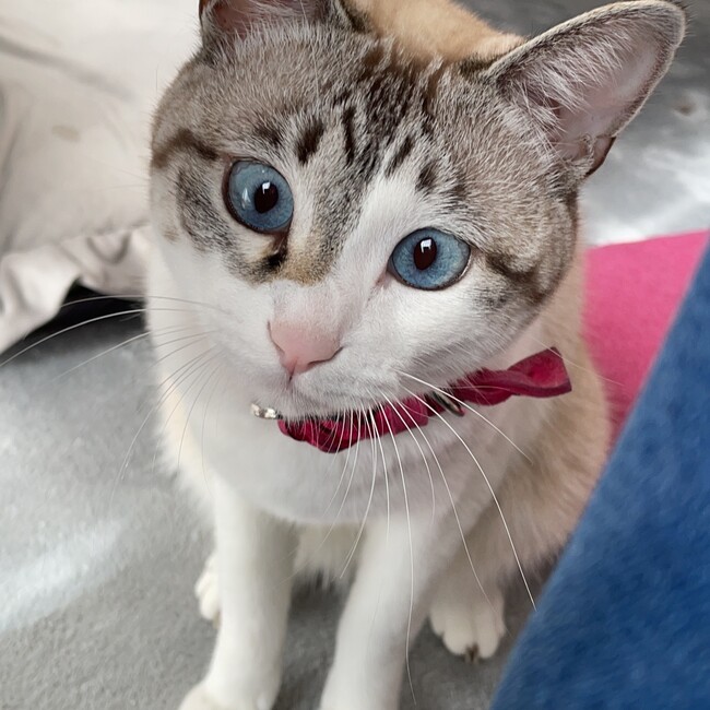 ttraのカバー写真