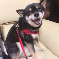 あられ