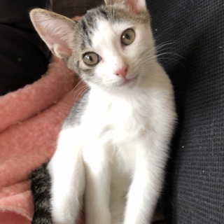 よく食べよく遊ぶ元気っ子！フーくん✨