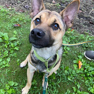 UNO（ウノ、ミックス）