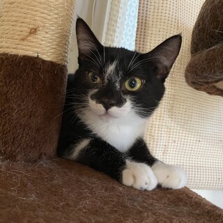 白いソックスが可愛い女の子！