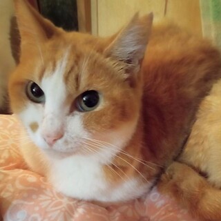 小柄で可愛い♡れんちゃん