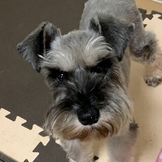 おおらかで元気な女の子♪