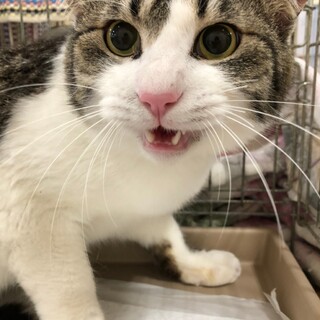 優しいお顔♡たいとくん