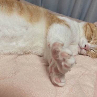 の写真