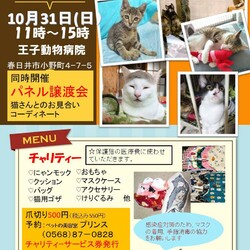 パネル譲渡会&バザー