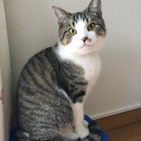 みーちゃん