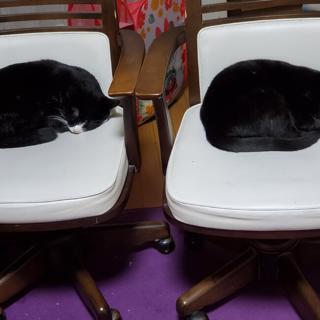 MONEMONEのカバー写真