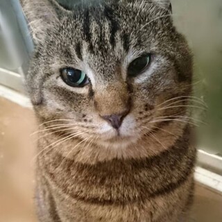 優しく穏やかなお顔♡あやのくん