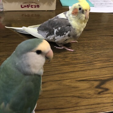 の写真