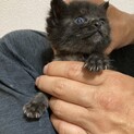 1ヶ月になりました。ちょこちょこしてます。