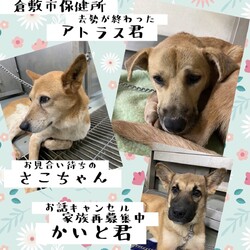 2021年10月19日の倉敷→全頭卒業！