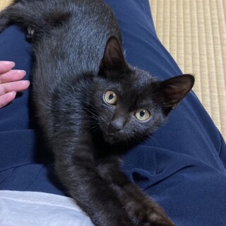 白血病陽性。生涯愛してくださる方