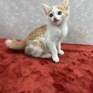 下を見ながら歩いて❗️何時も一緒にいたい❤️流星