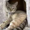 かゎぃぃ❤️