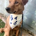 穏やかで優しい男の子