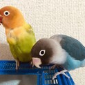 ありがとうございました！