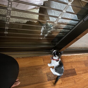 の写真