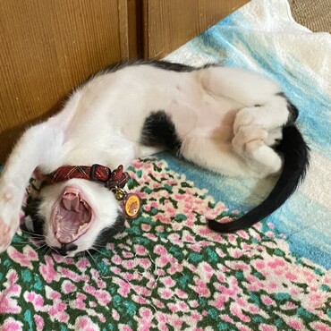 の写真