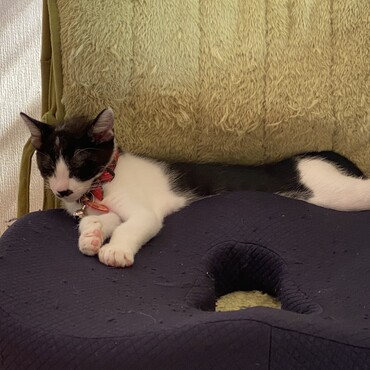 の写真